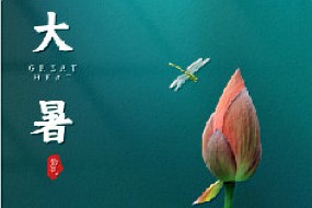 【大暑】蝉声起，夏正浓