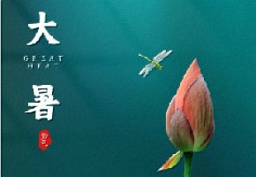 【大暑】蝉声起，夏正浓