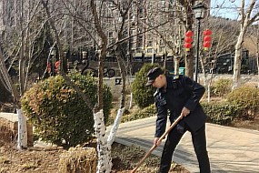 【物业服务】养树护绿，绘就美好家园