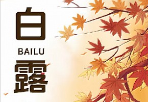 白露起，秋色扶摇直上